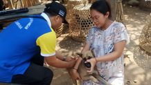 Peringati Hari Rabies Sedunia, Pemkab Jembrana Gelar Sosialisasi dan Vaksinasi Rabies Hari Rabies Sedunia