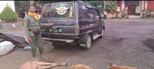 Kantongi Identitas, Polisi Lacak Pelaku Pemburuan Liar di TNBB pemburuan liar