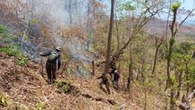 Enam Hektare Lahan Kering di Bukit Desa Banyupoh Kebakaran pemadaman titik api
