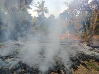 Diduga Akibat Dupa, Gudang Kayu di Desa Tembok Terbakar Kebakaran
