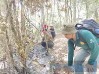 Belasan Hektar Hutan Lindung di Desa Galungan Kebakaran Kebakarna Hutan