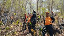 Kolaborasi Atasi Kebakaran Hutan Tejakula Tejakula