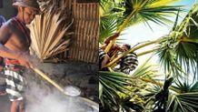 Berawal Covid-19, Produk Gula Juruh Hingga Rengginang Merambah ke Sumatera gula juruh