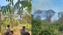 Hutan dan Bukit Tejakula Terbakar, KPH Sebut Titik Api Jauh dari Pemukiman kebakaran