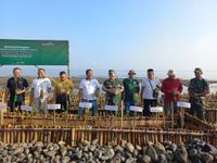 Pelestarian Lingkungan Pantai, 10 Ribu Bibit Mangrove Ditanam Pohon