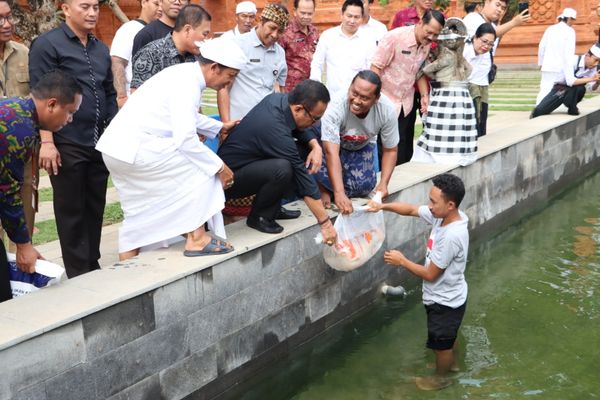 melepas Ikan Koi