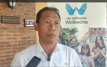 Jadi Pilot Project Wolbachia, Buleleng Siap Tebar Telur Nyamuk Lawan DBD DBD