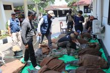 Upaya Penyelundupan Satwa Dilindungi Berhasil Digagalkan, Polres Jembrana Amankan 19 Ekor Penyu Hijau Penyu Hijau