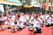 Bupati Tabanan Hadiri Rangkaian Karya Ngenteg Linggih Pura Beji Desa Adat Peneng Bupati Tabanan