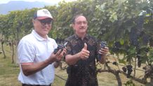 Hatten Wines Luncurkan Produk Limited Editon “Chenin Blanc” Hatten Wines