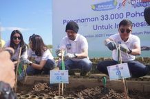 Britama Tanam Kebaikaan, BRI “Hijaukan” Taman Hutan Raya Ngurah Rai BRI Mangrove