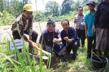 Dukung Pelestarian Jegog dan Kawasan Hutan, Bupati Tamba Tanam Bibit Bambu Petung Bambu