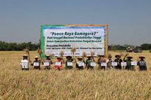 UGM Panen Raya Perdana Padi Gamagora 7 di Ngawi Ngawi