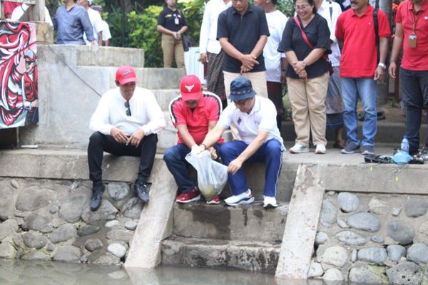 Lomba Mancing Lomba Mancing