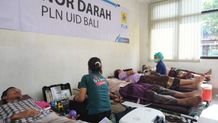 Sumbang Ratusan Kantong Darah Selama Tahun 2023, PLN Awali Tahun 2024 dengan Menggelar Kegiatan Sosial Donor Darah Donor Darah