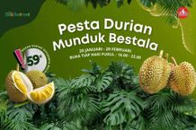 Dispar Buleleng Gelar Pesta Durian Munduk Bestala Durian