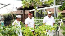Kunjungi Distanpangan Bali, Pj Gubernur Mahendra Jaya Dorong Hilirisasi Produk dan Inovasi Pertanian di Lahan Terbatas Distanpangan Bali