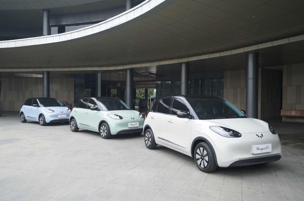 Wuling BinguoEV 