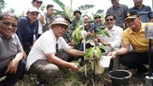 Penanaman Pohon Serentak Nasional di Bali Terpusat di Desa Blimbingsari Tanam Pohon