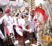 Mekebat Daun, Mangun Ayu, Ngebek, Nyenuk, Nuek Bagia Pule Kerti, Rsi Bjona lan Nyineb Karya Agung Kantor Bupati Tabanan Berlangsung Suka Cita yadnya
