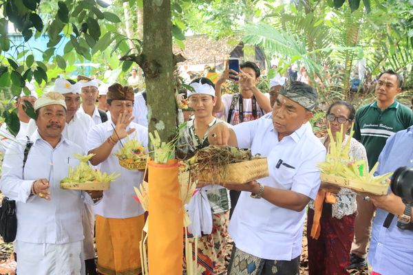 Festival Tumpek Wariga