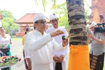 Pemkot Denpasar Gelar Persembahyangan dan Nguduh Sarwa Tumuwuh Peringati Hari Tumpek Wariga Persembahyangan Bersama
