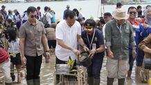 Sekda Dewa Indra Ajak Masyarakat Menanam Pohon di Setiap Kesempatan Menanam Pohon