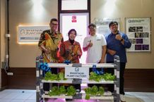 UGM Luncurkan Smart Agri Plant Factory Dukung Pertanian Modern Berkelanjutan Pertanian UGM