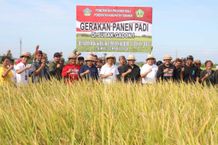 Pemerintah Kabupaten Tabanan Apresiasi Gerakan Panen Padi Raya di Subak Gadon I Kediri Panen