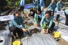 Lakukan Tanam Cabai Serentak, Ketua TP PKK Kota Denpasar Dukung Penurunan Inflasi di Kota Denpasar Tanam Cabai Serentak