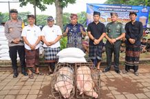 Jelang Nyepi, Bupati Tamba Bagikan 128 Ekor Babi dan Beras ke Seluruh Desa Adat Se-Jembrana Bupati Tamba