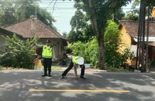 Ditabrak Mobil, Pemotor di Buleleng Meregang Nyawa lakalantas