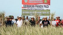 Dukung Penurunan Stunting, Pj Gubernur Mahendra Jaya Dorong Penanaman Padi Inpari Nutri Zinc Penanaman Padi Inpari Nutri Zinc