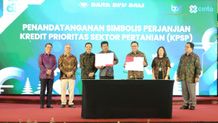 Sekda Dewa Indra Dorong Optimalisasi Penyaluran Kredit bagi Sektor Pertanian Penyaluran Kredit