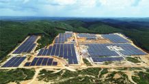 PLTS Tahap 1 Kapasitas 10 MW Sukses Dioperasikan, PLN Tunjukkan IKN Dilayani Energi Bersih PLTS