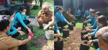 Sariasih Sedana Arta Hadiri Gerakan Tanam Cabai Serentak se-Indonesia Tanam Cabai Bangli