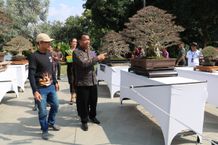 Pj Bupati Lihadnyana Inginkan Pameran dan Lomba Bonsai Jadi Agenda Rutin Tahunan Pameran dan Lomba Bonsai