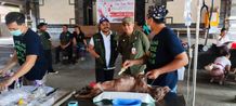 Kasus Gigitan Anjing Rabies di Wilayah Perkotaan Meningkat Vaksinasi Rabies