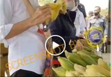 Video Viral Presiden Jokowi “Makan Siang Gratis” Ternyata Hoaks Hoaks