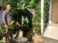Balita Tenggelam di Kolam Ikan Koi, Tewas Saat Ibu ke Toilet Balita Tewas