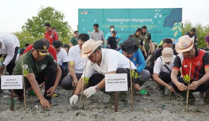 Mangrove