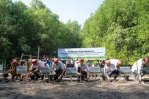 Peringati Hari Lingkungan Hidup Sedunia, Yayasan AHM Tanam Puluhan Ribu Mangrove Mangrove