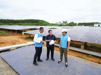 Tinjau PLTS PLN, Menteri BUMN Pastikan Peringatan HUT RI di IKN Gunakan Listrik Hijau Tinjau IKN