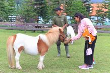 Bali Farm House, Destinasi Wisata Baru di Buleleng Komitmen Dukung PAD dan Serap Tenaga Lokal Wisata Baru