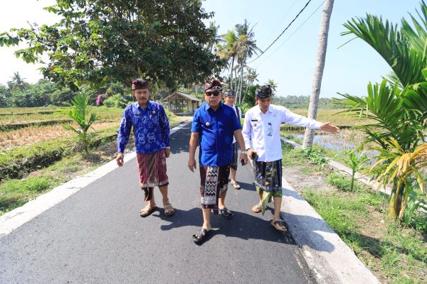 Jalan Lingkar Desa Pulukan