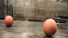 Telur Ayam Berdiri di Hari Bakcang, Fenomena yang Menarik Perhatian Telur Berdiri
