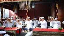 Wali Kota Jaya Negara Hadiri Upacara Ngeratep, Melaspas lan Masupati Palawatan di Pura Dalem Sindhu Upacara Agama