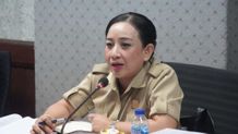 Kritik Dewi Suyasa terhadap Proyek LPJU Hias di Karangasem, Banyak Jalan Masih Gelap Lampu