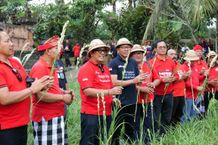 Bungan Desa Ke-53 di Desa Sesandan, Bupati Sanjaya Soroti Potensi Pertanian Bunga Sedap Malam Desa Pertanian