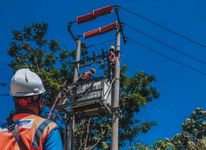 Setor Dividen Rp3,09 Triliun, Kementerian BUMN Dukung PLN Lanjutkan Transformasi Bisnis PLN